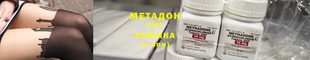 прущие грибы Покров