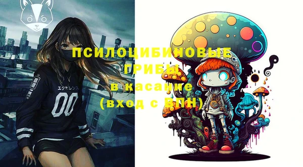 круглые Аркадак